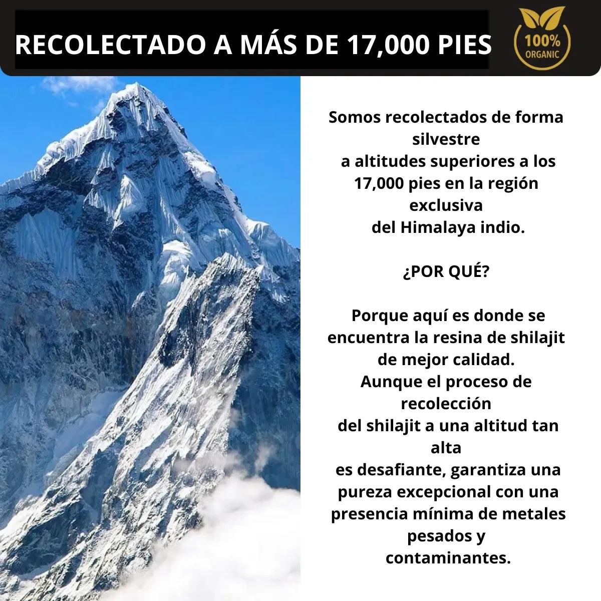 Shilajit Premium | Potencia tu bienestar 🏔️